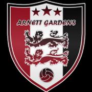 阿內(nèi)特加登斯