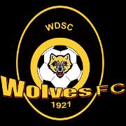 布里斯班狼隊(duì)