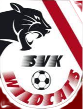 SVK野貓女足