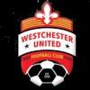 西切斯特聯(lián)U19